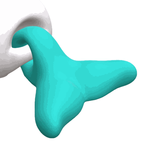 Delfin